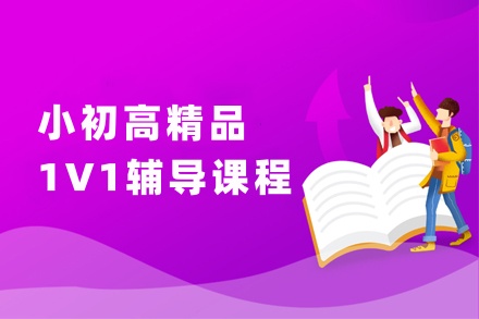 小初高精品一对一课程-全学科培训